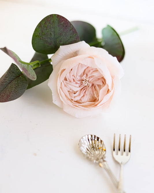 Rice Paste Edible Flower Course - (Nov 16)