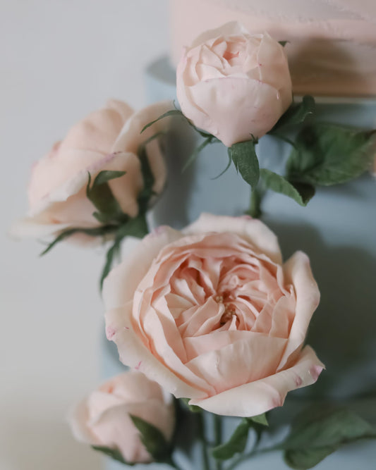 Rice Paste Edible Flower Course - (Nov 16)