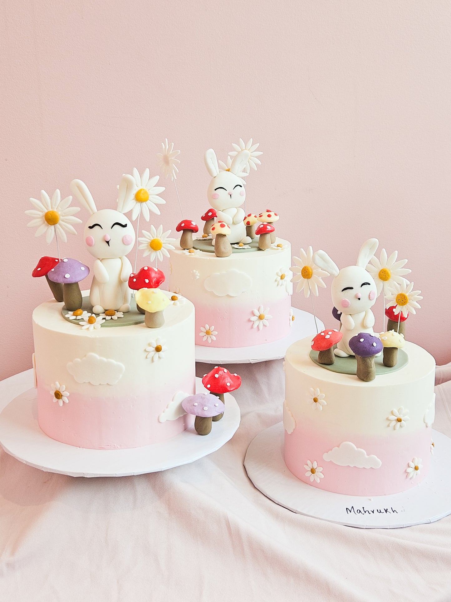 Cake Decorating Course Level 1 (Weekday Batch) (Booking April/May)