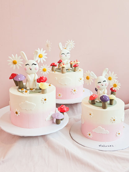 Cake Decorating Course Level 1 (Weekday Batch) (Booking April/May)