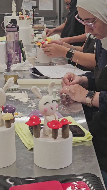 Cake Decorating Course Level 1 (Weekday Batch) (Booking April/May)
